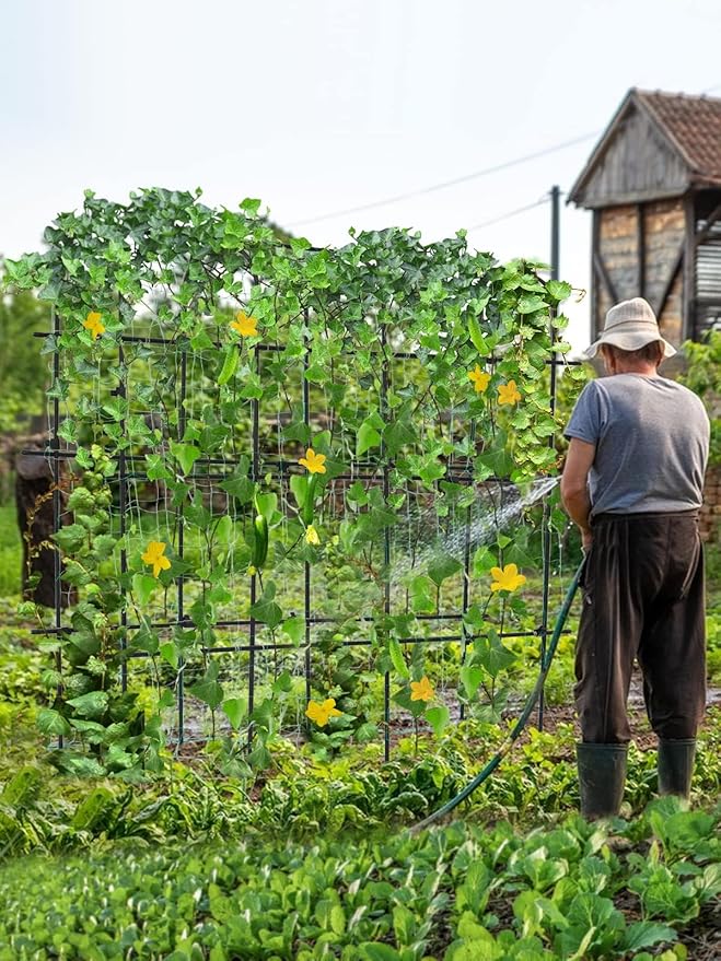 6Ć6 Feet Garden Trellis for Climbing Plant, Kalolary Large Garden Cucumber Trellis U-Frame Vegetable Beans Fruit Grow Trellises Rustproof Metal Plant Climbing Support for Indoor Outdoor Vine Stand