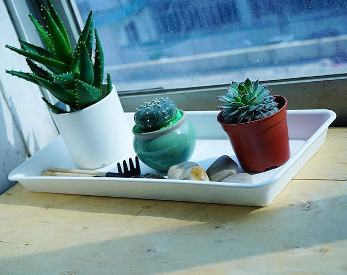 VUWEZ 6 Pack Plastic Plant Tray Saucer, Rectangular, Indoors Outdoor, Water Drip Tray for Flower Pot, Windowsill (6.5 x 13 Inch, Cream White)