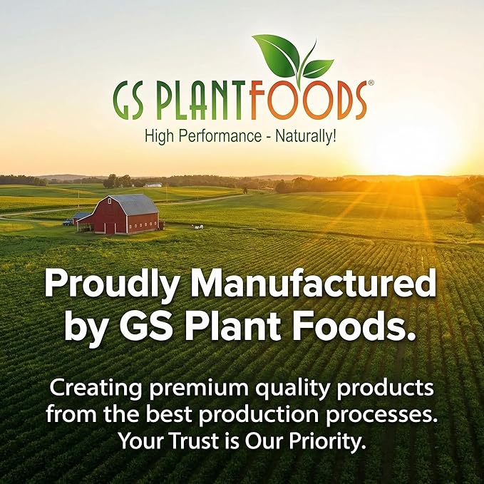Amino Power Powder Nitrogen Fertilizer - Plant Based High Nitrogen Fertilizer for Plants - All Natural Nitrogen Source and chelating Agent - Suitable for Turf, Vegetables, Fruits & Berries