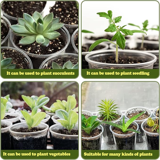 RAOOKIF 25 Pack 5 Inch Clear Nursery Pots with Drainage Holes, Flexible Plastic Nursery Pots for Plants, Durable Garden Flower Pot, Seed Starter Pots