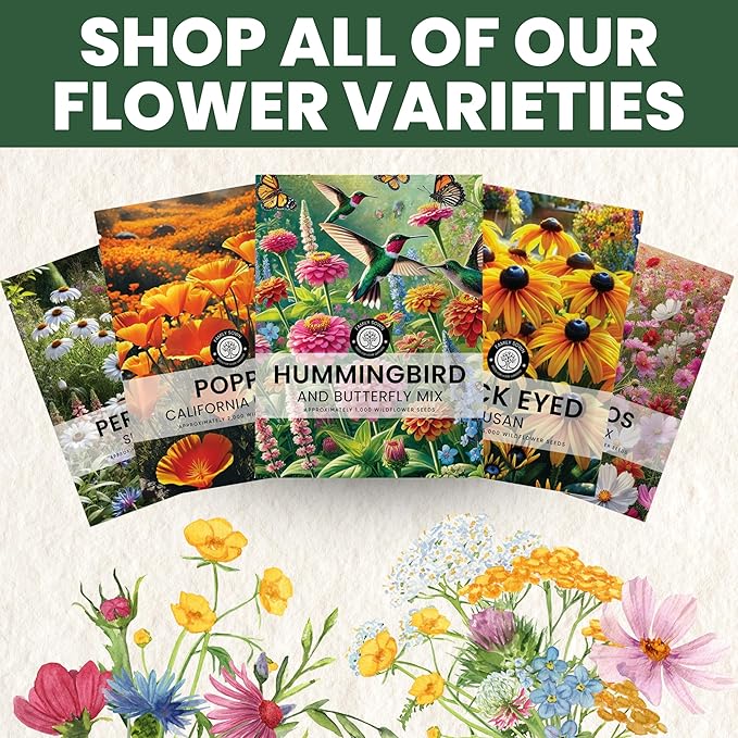 Crazy Cosmos Mix - Large 5g Envelope - 600 Flower Seeds for Planting - Cosmos bipinnatus