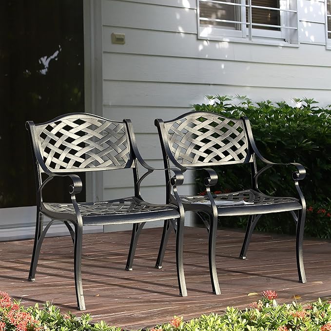 NUU GARDEN Patio Dining Chairs Set of 2, Aluminum Outdoor Indoor Patio Chairs with Arms for Garden, Backyard, Porch, Black