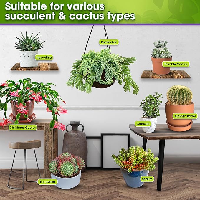 DUSPRO Succulents Soil Potting Mix β 7 in 1 Ingredients Well-Draining, Nutrient-Rich Cactus Potting Soil for Succulents and Cacti, Indoor & Outdoor Use, Ready to Use, Supports Healthy Root Growth, 4QT