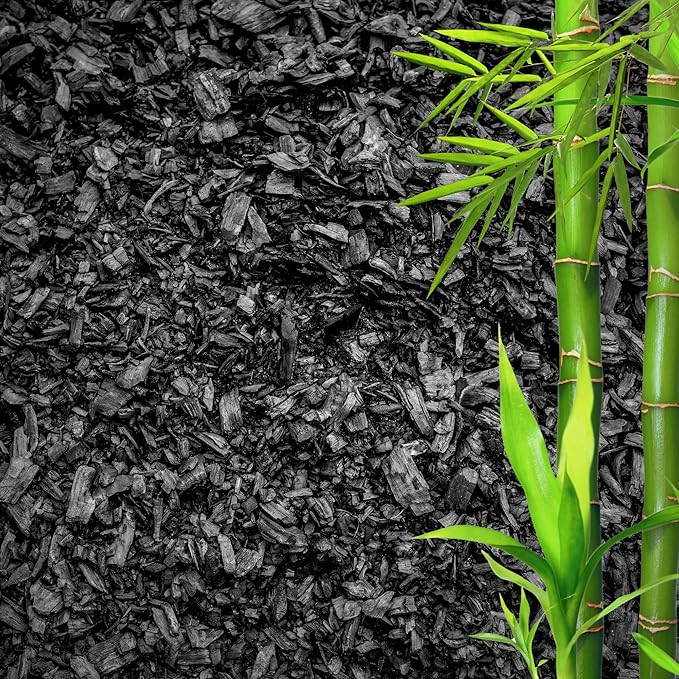 GARDENWISE Horticultural Charcoal for Plants ā Organic Bio Char Soil Amendment for Terrariums, Indoor Plants & Gardening, Made in USA (20 quarts)