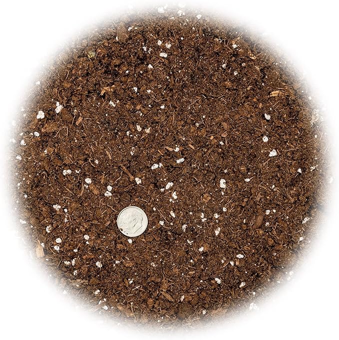 GARDENERA Organic Potting Mix for All Plant Types for Indoor and Outdoor Use, Great for Veggies, Spices, and Holistic Herbs - (2 Quart Bag)