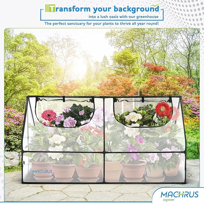 Ogrow Compact Garden Cloche, Mini Greenhouse, Seed Starter Plant Protector, Indoor and Outdoor Use, Portable Growing Dome for Herbs, Flowers, Vegetables, Clear Cover