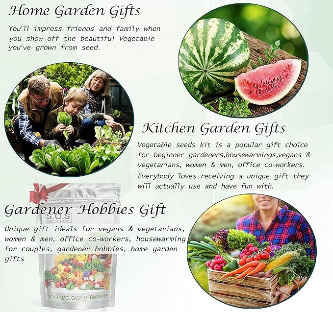 12,500+ Vegetable Fruit Seeds for a Bountiful Garden: 40 Heirloom Varieties, Non-GMO, Indoors, Outdoors, or Hydroponically, Mega Vegetable Seed Kit