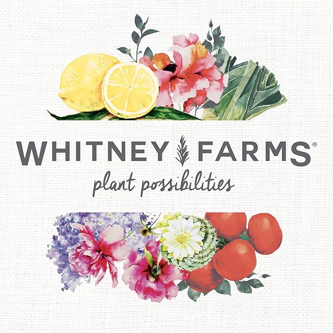 Whitney Farms Organic & Natural Tomato & Vegetable Food 7-6-9 - Fertilizer for Vegetable Gardens, In-Ground or Container Gardens, 4 lb.