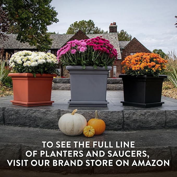 The HC Companies 11 Inch Accent Square Plant Saucer, Lightweight UV-Resistant Plastic Outdoor & Indoor Flower Pot Tray, 2-Pack Plant Pot Trays for Garden & Home Decor, Chocolate