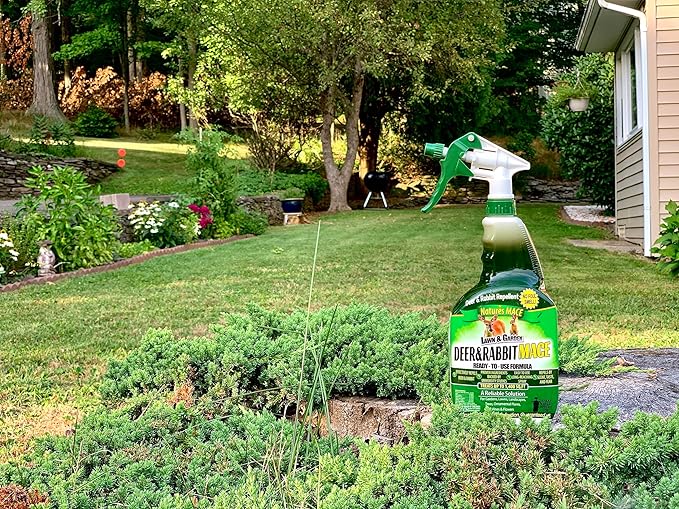 Nature's Mace Garden Spray - Plant-Friendly Outdoor Care, Mint Scent, 40 oz Ready-to-Use, Safe Around People, Pets, and Plants