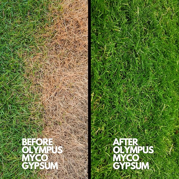 97% Pure Gypsum Powder, 5 lbs – High Solubility Calcium Sulfate Dihydrate for Soil, Gardens, Lawns, Soil Conditioner