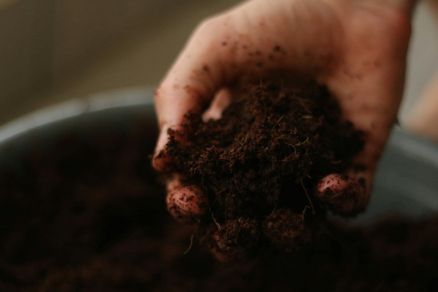 Organic Fertilizers