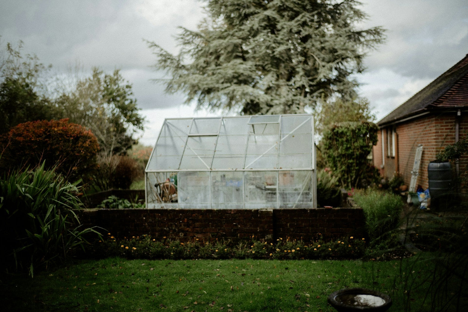 Mini Greenhouses