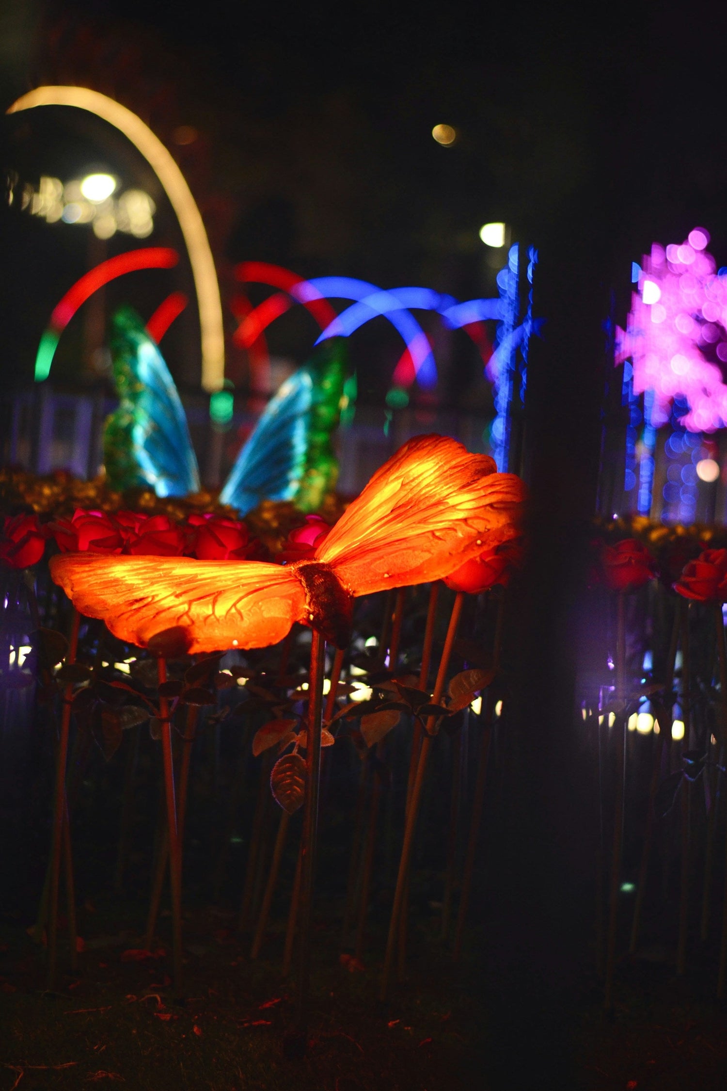 Garden Lights