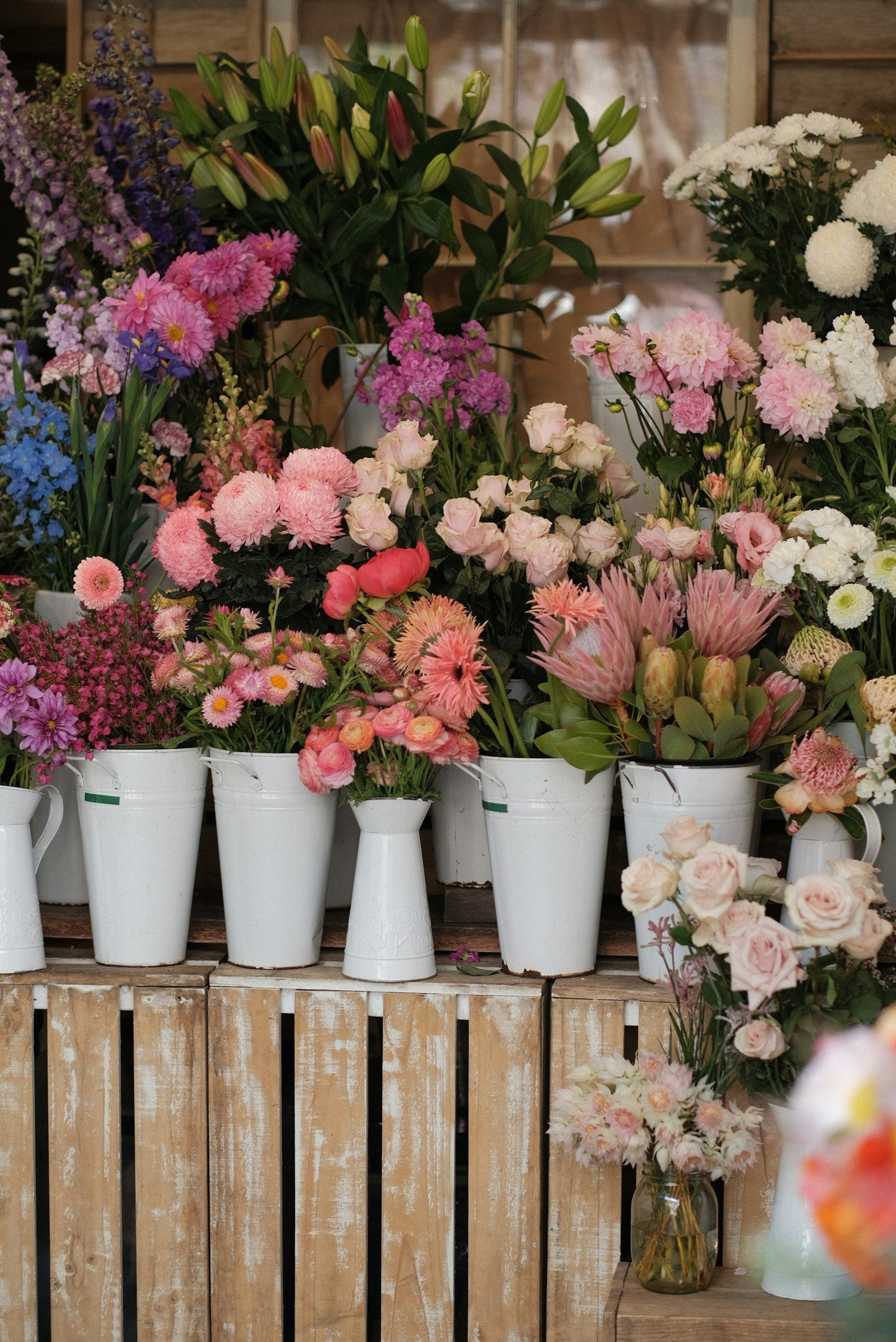 Ceramic Pots