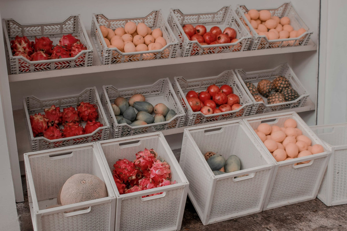 Plastic Storage Boxes