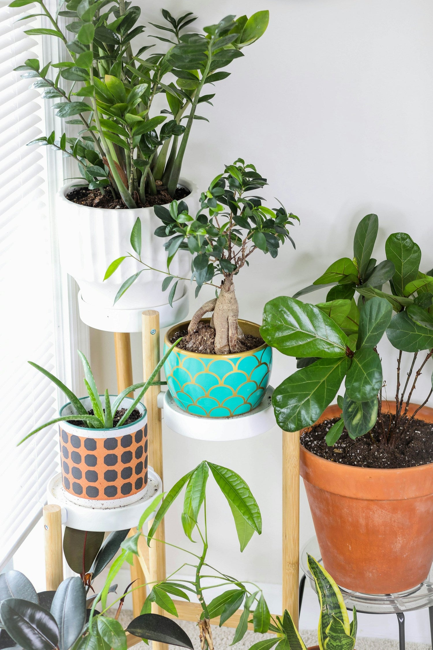 Plant Stands
