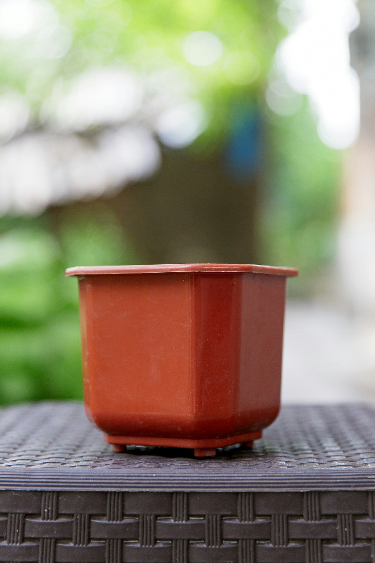 Plastic Pots