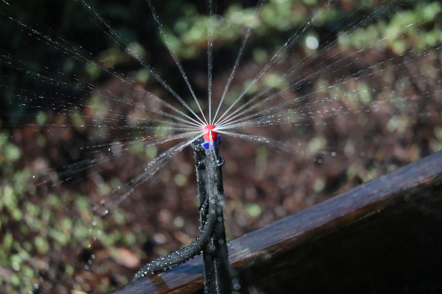 Drip Irrigation