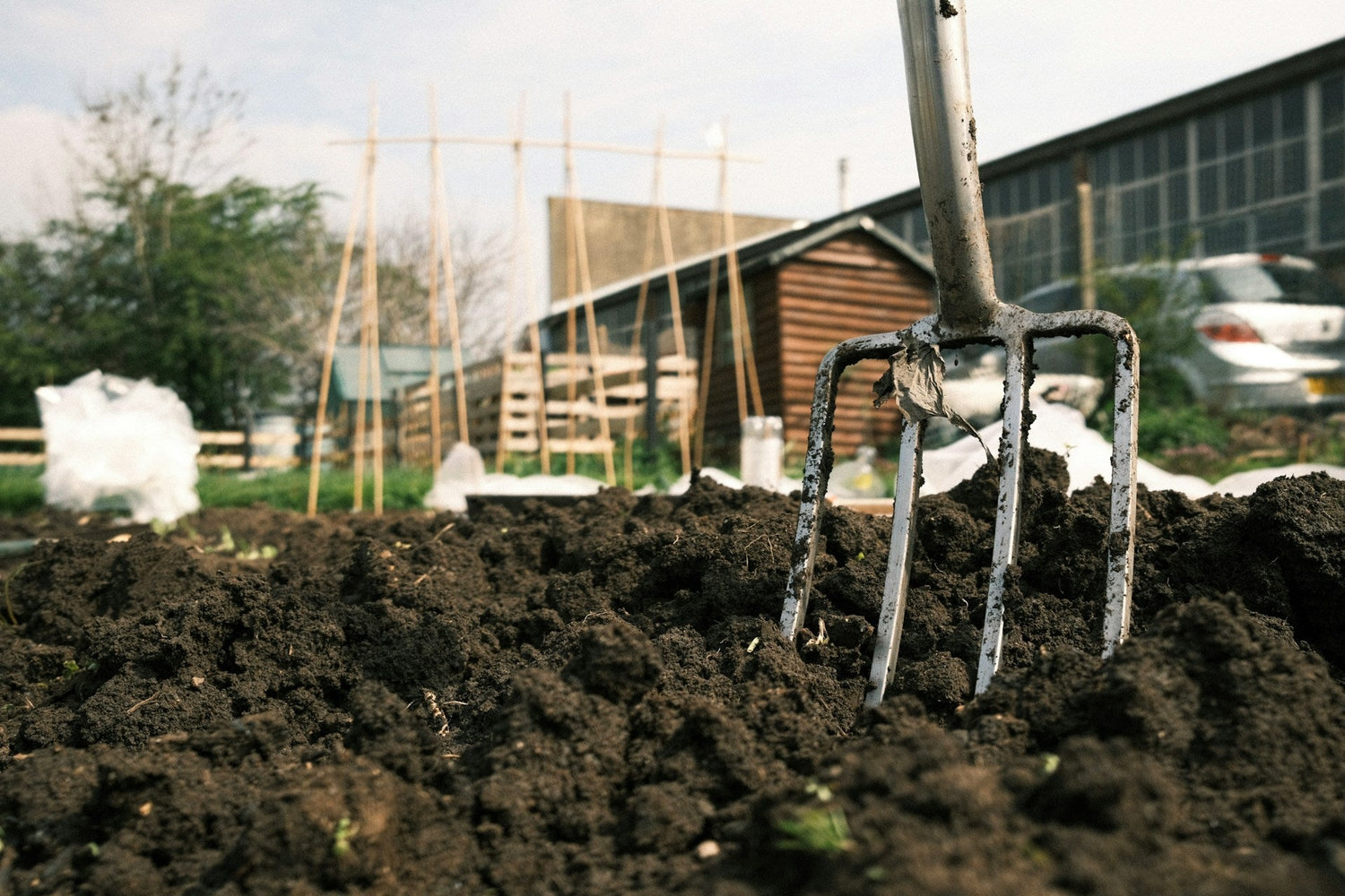Garden Forks
