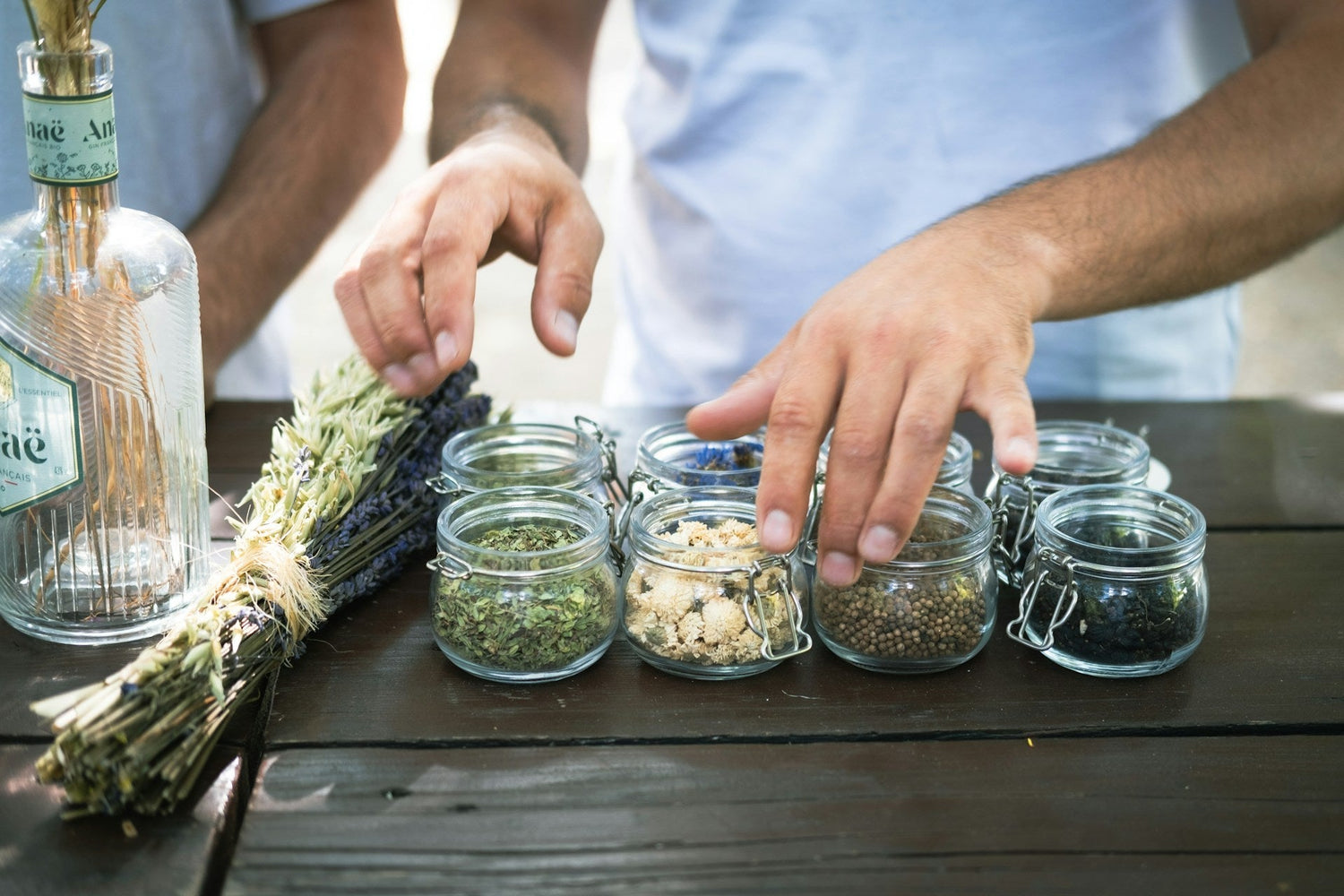 Herb Seeds