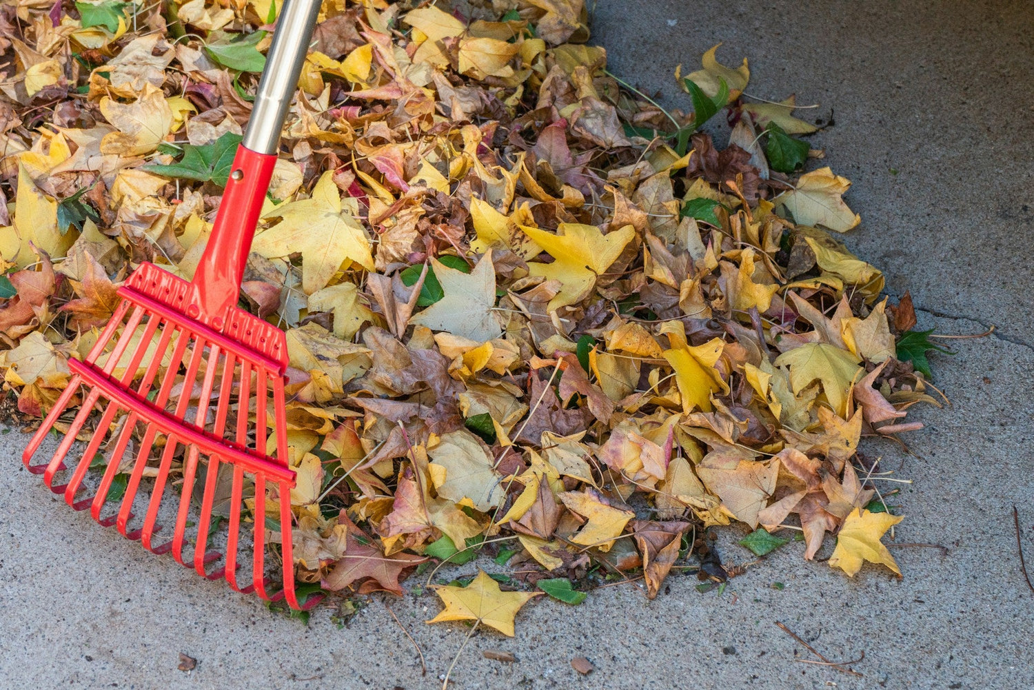 Rakes