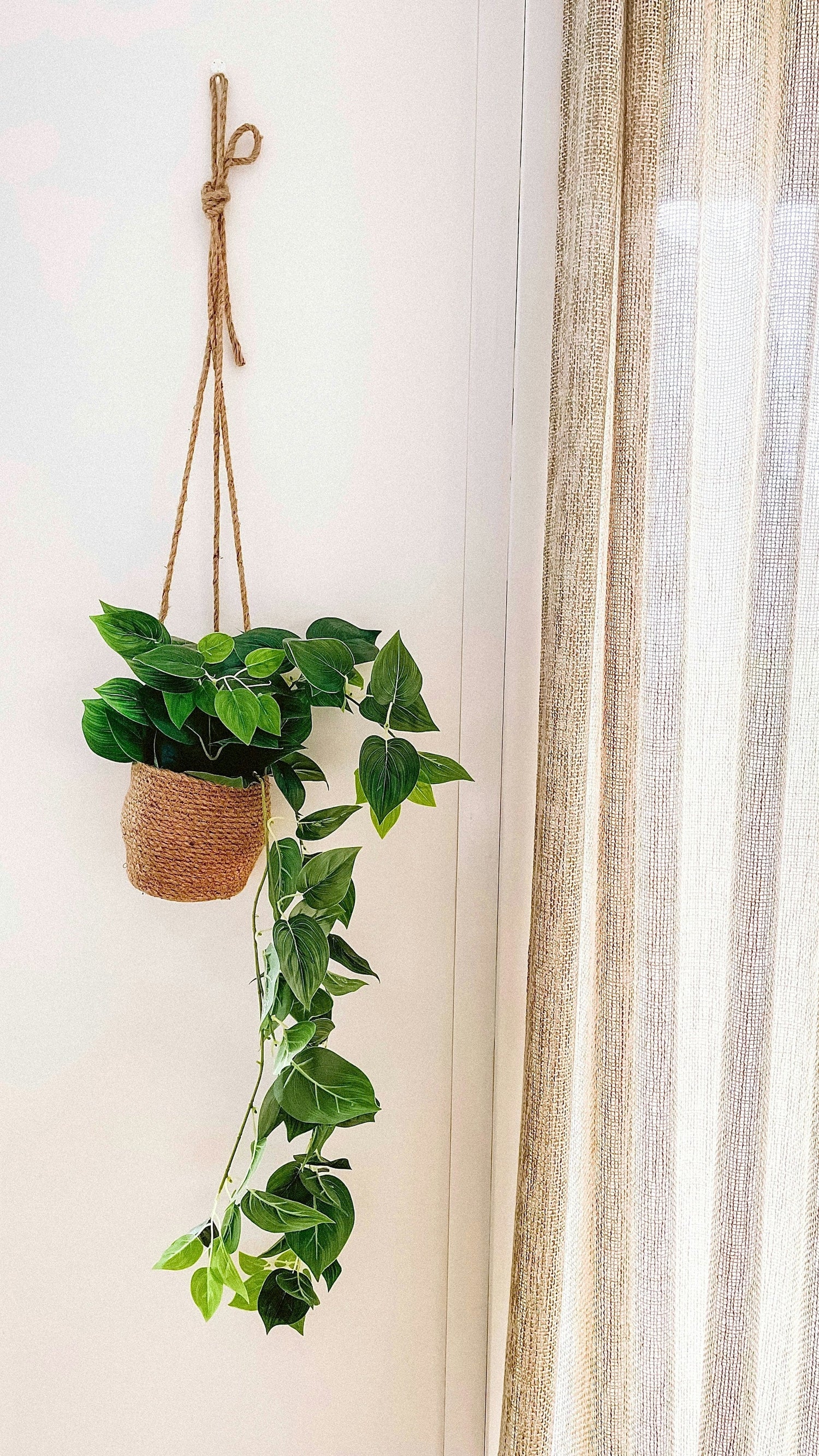 Hanging Planters