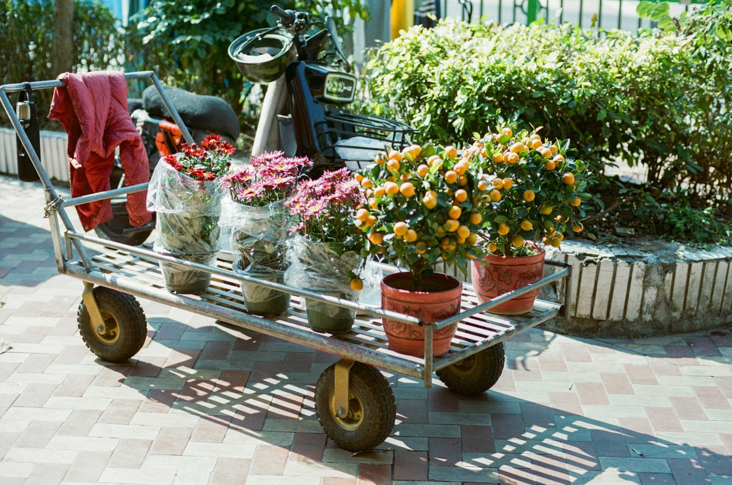 Garden Carts