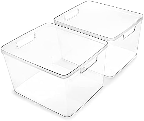 BINO | Plastic Bins, Large - 2 Pack | THE LUCID COLLECTION | Multi-Use| Built-In Handles | BPA-Free | Clear Storage Containers | Fridge Organizer | Pantry & Home Organization