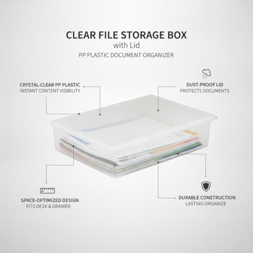 Clear Storage Bin