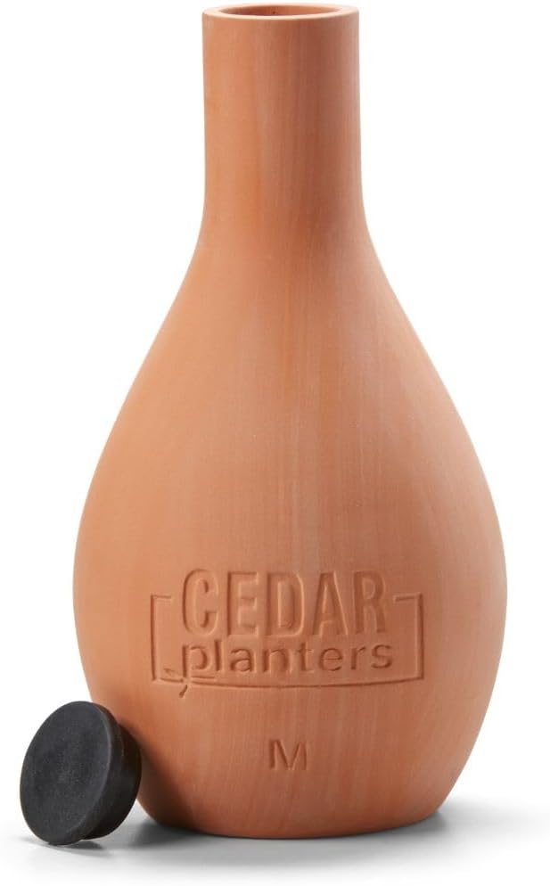 Self-Watering Clay Olla Pot for Raised Garden Beds and Planters (Medium)