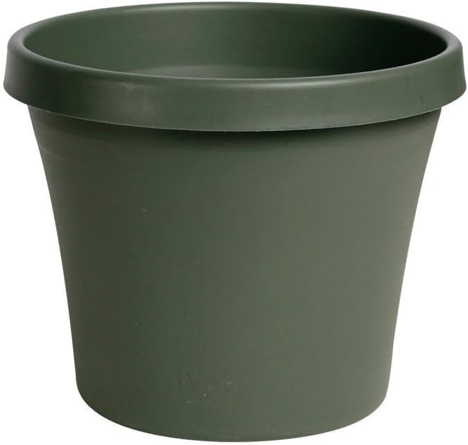 Bloem Terra Pot Planter 8" Living Green