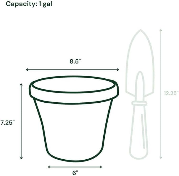 Bloem Terra Pot Planter 8" Living Green