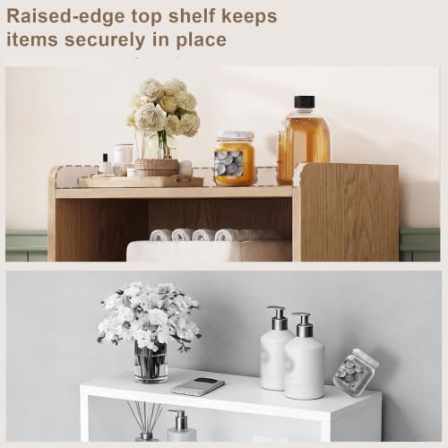 ChooChoo Small Bathroom Storage Cabinet with 2 Door and Shelves