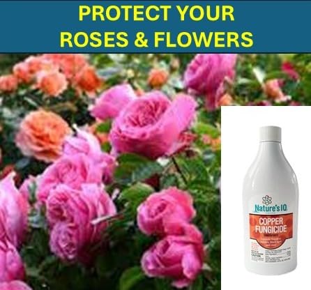 Nature's IQ Copper Fungicide. Controls powdery Mildew, Black spot, and Rust! for use on Roses, Flowers, ornamentals, Fruits, Vegetables, and lawns. 2-16oz Bottles(Twin Pack)