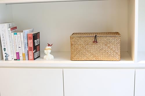DOKOT Rectangular Handwoven Seagrass Storage Basket with Lid for Shelves and Home Organizer Bin, (M (12"x7"x6"H), Natural)