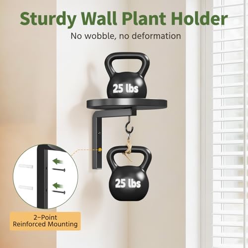 LASZOLA Plant Hanger Holder Window Shelf Wall Mounted Indoor, 5 Pcs Black