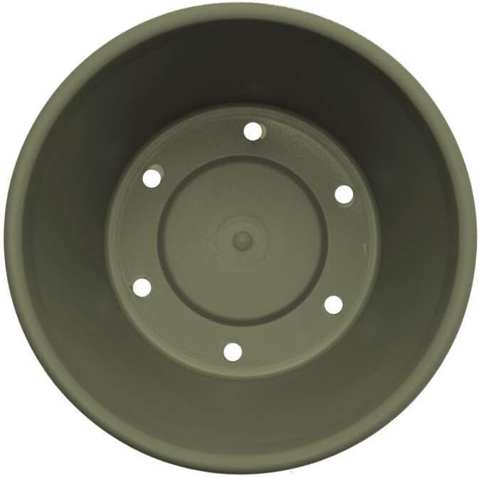 Bloem Terra Pot Planter 8" Living Green