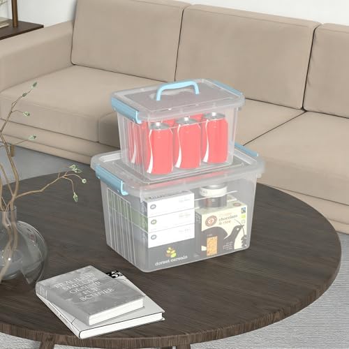 Ggbin 2 Packs Clear Plastic Storage Bins with Lids, 12 Quart & 6 Quart