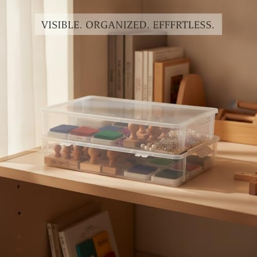 Clear Storage Bin