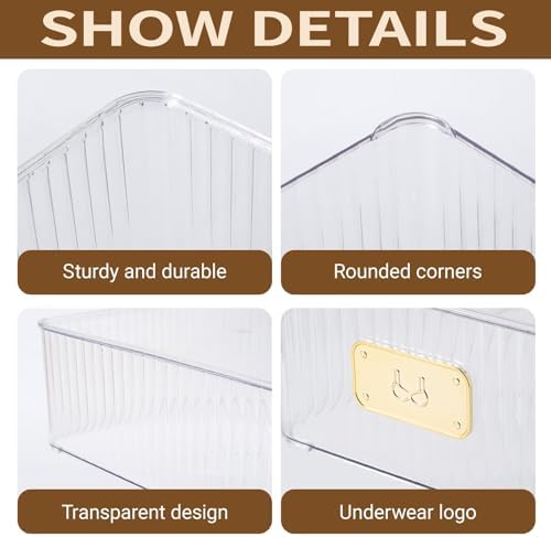 Clear Bra Organizer, Plastic Underwear Drawer Organizer with Lid for Closet, Undergarment Storage Ideal for Socks, Bras, Ties, and Scarves