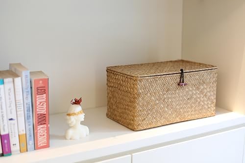 DOKOT Rectangular Handwoven Seagrass Storage Basket with Lid for Shelves and Home Organizer Bin, (M (12"x7"x6"H), Natural)