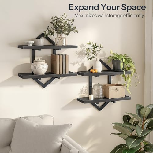 HOOBRO Floating Shelves for Wall, Set of 2 Wall Shelf, 15" Hanging Shelves | 2-Tier Wall Mounted Storage Shelves, for Living Room Bedroom Kitchen Office Study Bathroom Wall Decor, Black