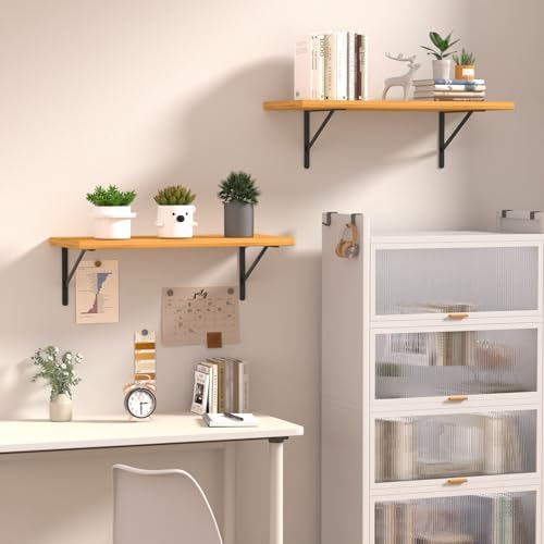 32 Pack L16 x H 10" Black Heavy Duty Shelf Brackets with Screws Metal Shelf Brackets Shelf Support Angle Brackets for Shelves L Brackets Heavy Duty Floating Shelf