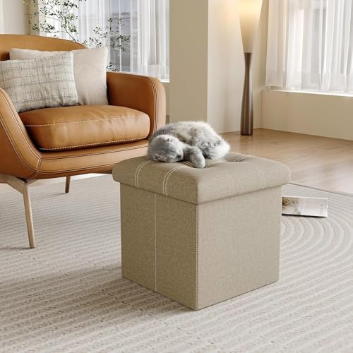 YOUDENOVA Storage Ottoman, Small Ottoman Foot Rest, Ottoman with Storage