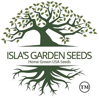 BeSweet Edamame Seeds for Planting (Vegetable Soybean, Glycine max) – 25+ Non GMO & Heirloom Seeds by Isla’s Garden Seeds, Sweet Tender Pods, Easy Home Growing, Garden Gift Idea