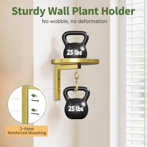 LASZOLA Plant Hanger Holder Window Shelf Wall Mounted Indoor, 2 Pcs Gold