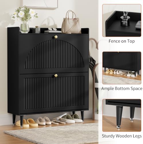Shoe Storage Cabinet with 2 Flip Drawers (Black, 2 Flip Drawers)