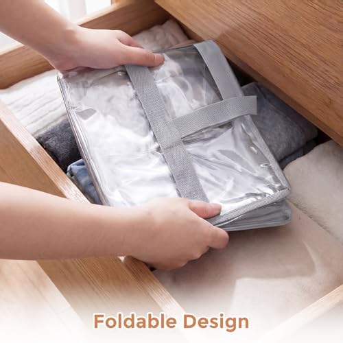 6 Pack Clear Storage Bags for Clothes, 45L Closet Organizers and Storage