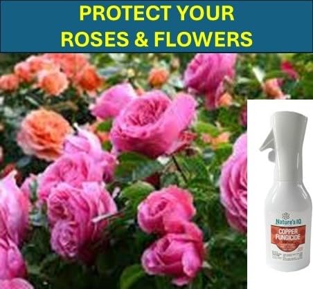 Nature's IQ Copper Fungicide. Innovative Spray Mist Technology. Controls powdery Mildew, Black spot, and Rust! for use on Roses, Flowers, ornamentals, Fruits and Vegetables. Ready-to-use 20 oz. (2)
